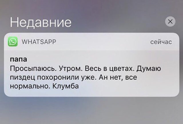 1610878505_2.jpg