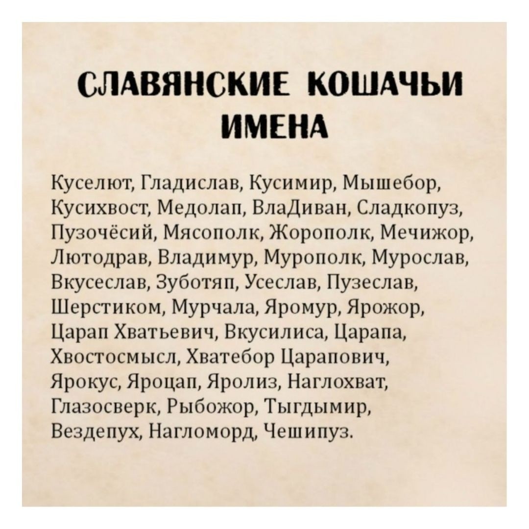 1610878537_4.jpg
